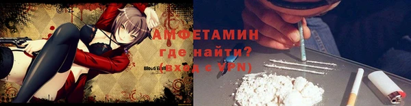 шишки Нея