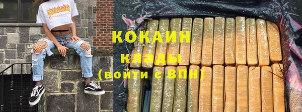 шишки Нея