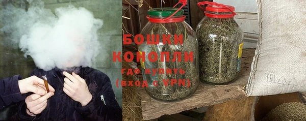 шишки Нея