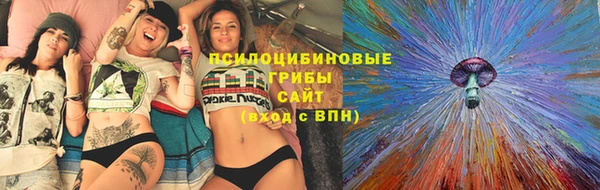шишки Нея