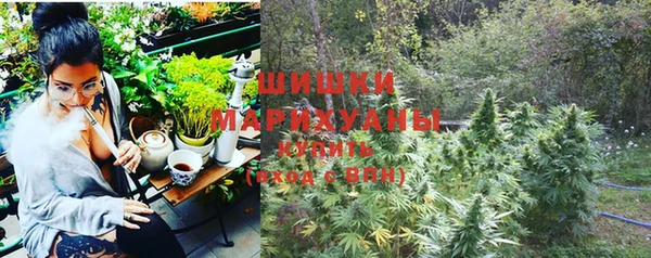 шишки Нея