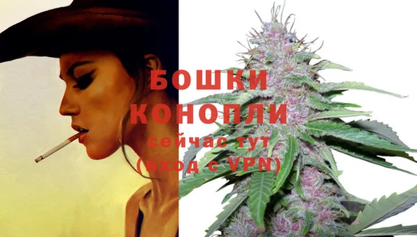шишки Нея