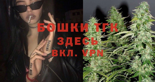 шишки Нея