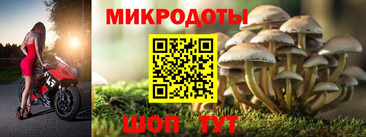 Старый Оскол  Галлюциногенные грибы Magic Shrooms  продажа наркотиков  Псилоцибиновые грибы мицелий  Вход с VPN 