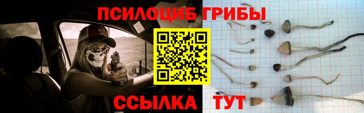 Галлюциногенные грибы мухоморы Старый Оскол
